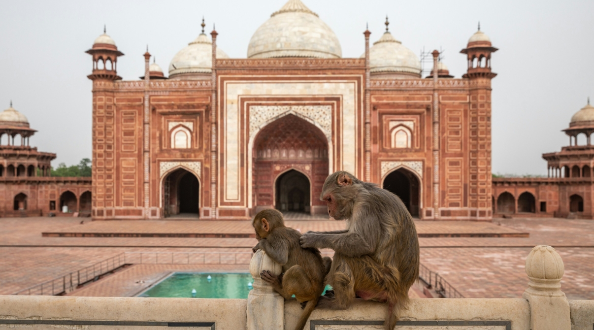 viaggio di gruppo India