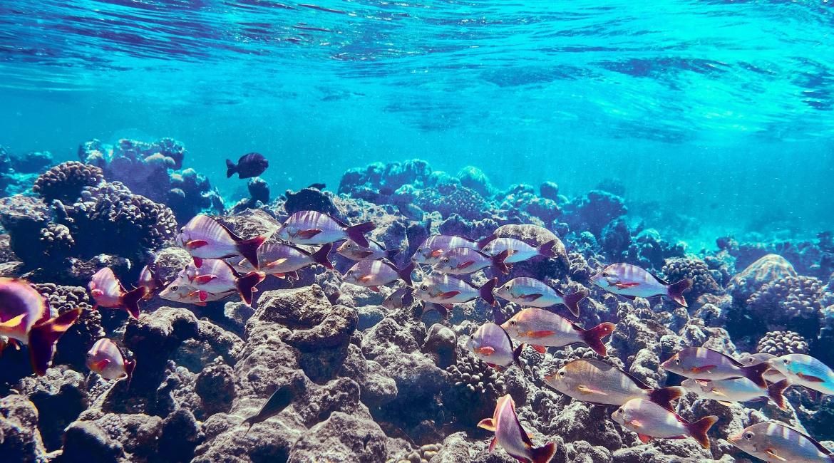 Gaafaru Maldive