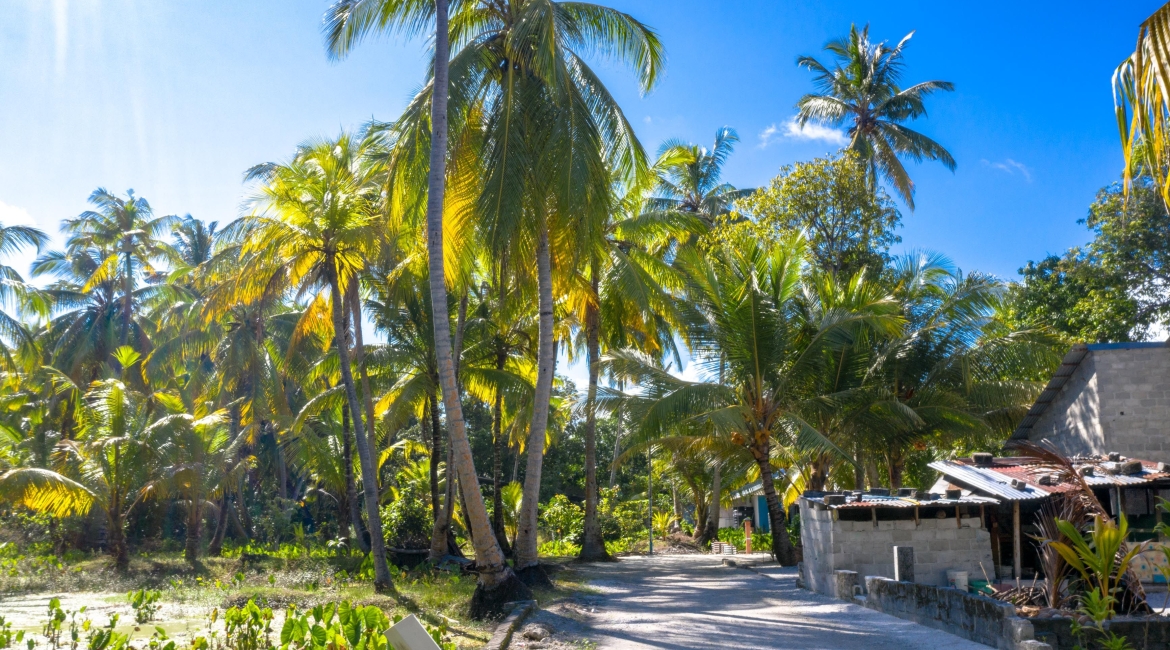 Maldive in guesthouse