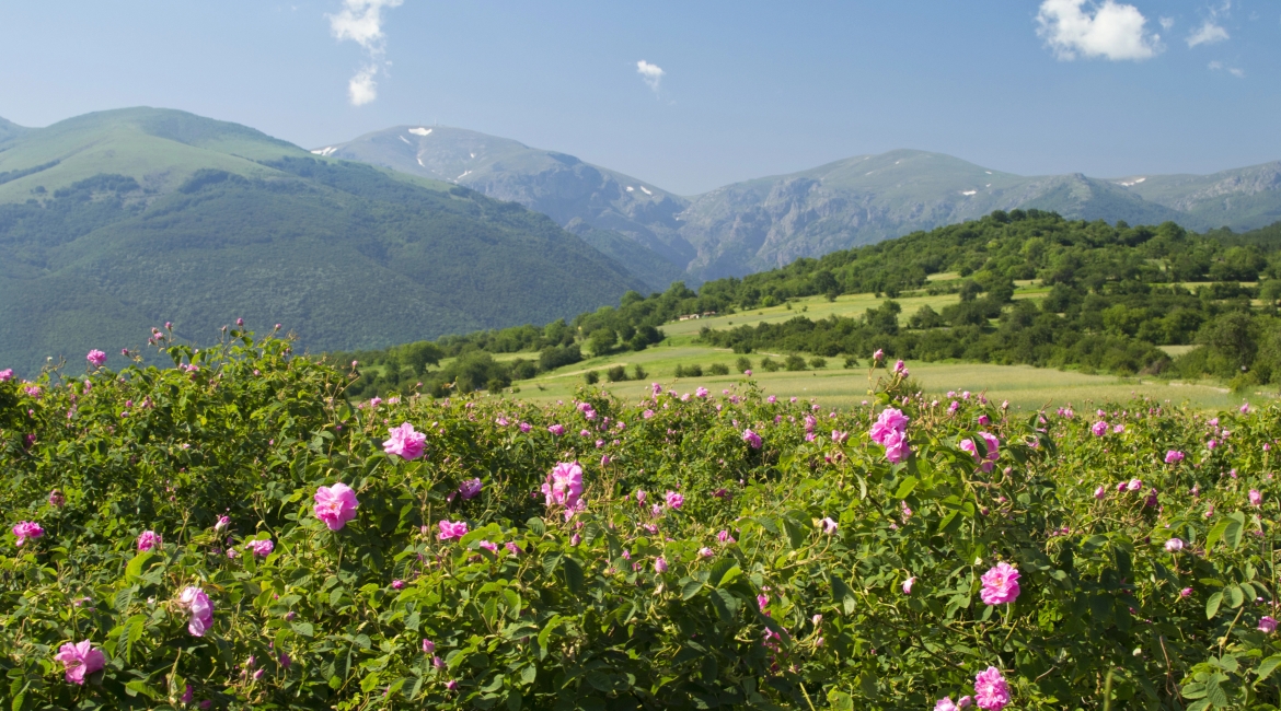 Valle delle Rose Bulgaria
