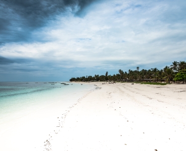 IGV Dongwe Club : il fascino unico e magnetico di Zanzibar